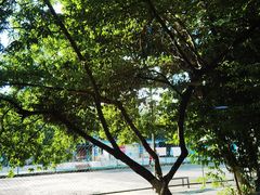 -鲜尚轩·斑鱼庄(荷花东街店)