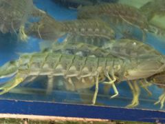 -班赞海鲜市场