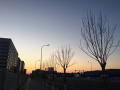 -首都医科大学附属北京天坛医院