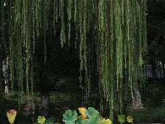 -东湖景区