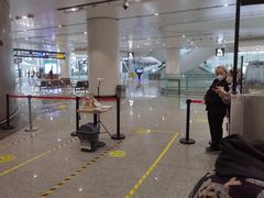 -麦当劳(北京大兴机场二层国内到达(安检外)店)