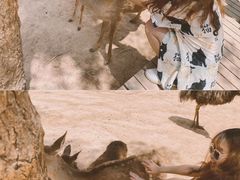 -云南野生动物园