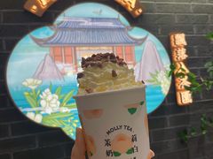 一朵茉莉花-茉莉奶白