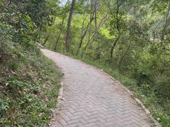-青龙山国家森林公园