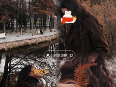 -金砂公园