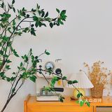 小鸥食舍 | 人气雪山冰