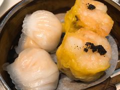 -糖朝(尖沙咀店)