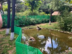 -西霞口神雕山野生动物世界