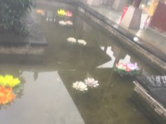 -咸宁万豪温泉谷度假区