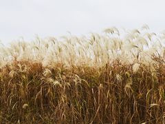 -烟水渔庄餐厅(西溪湿地店)