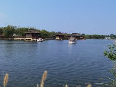-杭州湾海上花田景区