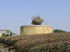 -龙坞茶村