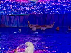 -海合安青岛极地海洋公园