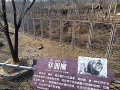 -济南野生动物世界
