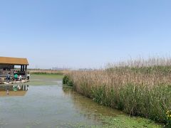 -宁波杭州湾国家湿地公园
