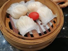 -新兴·金羊座·粤菜点心(乐峰店)