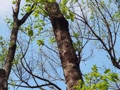 -人民公园(罗湖区)