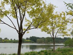 -东郊湿地公园