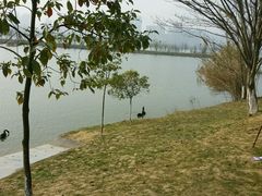 -艾溪湖湿地公园