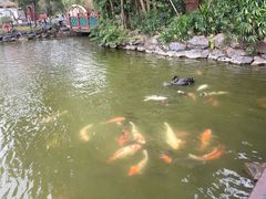 -珠海圆明新园