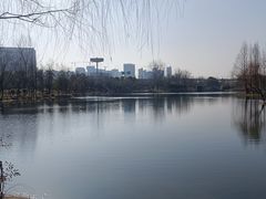 -洋湖国家湿地公园