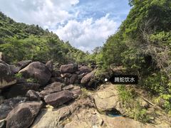 -广州白江湖森林公园