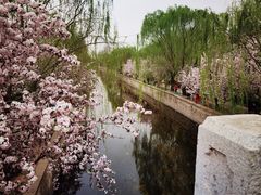 -海棠花溪(元大都城垣遗址公园)