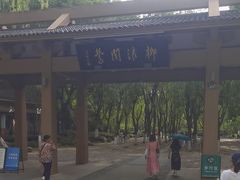 -柳浪闻莺公园