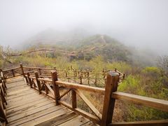 -大岭沟猕猴桃谷风景区