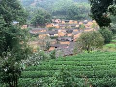 -杨家堂村