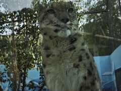 -青藏高原野生动物园