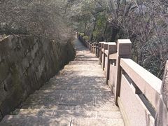 -杭州半山国家森林公园