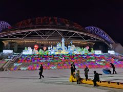 -沈阳奥体冰雪嘉年华