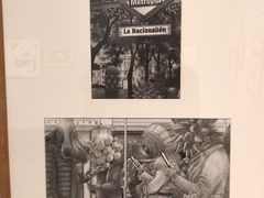 -【朵云轩艺术中心】博洛尼亚插画展·中国巡展·上海站