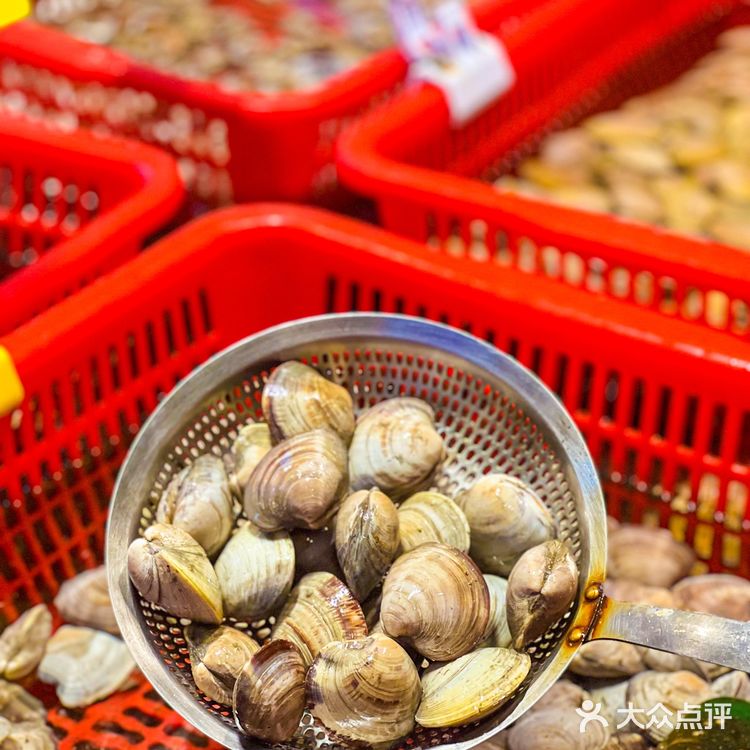 生蚝有多少种吃法❓在蚝乡我真的大开眼界❗️