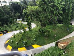 -圣淘沙天际线斜坡滑车