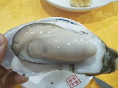蒸生蚝-蚝专家(北滘店)