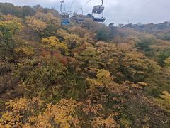 -富斯特索道