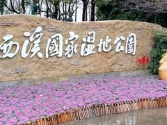 -西溪国家湿地公园