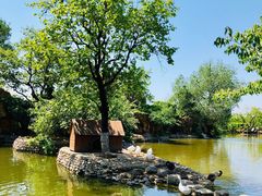 -静之湖湖畔餐厅