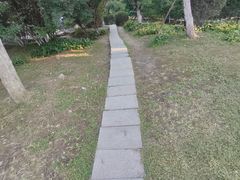 -莫子山公园