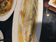 清蒸太湖野生大白鱼-梅飞酒家(名辉豪庭店)