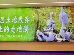 -徐家屯铁锅炖(宋家庄店)