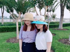 -合肥滨湖国家森林公园