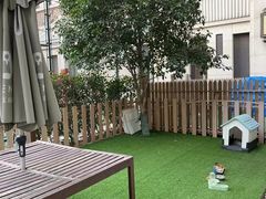 -齐玉齿科JADENTAL