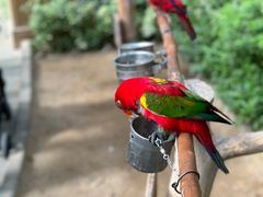 -南宫五洲植物乐园