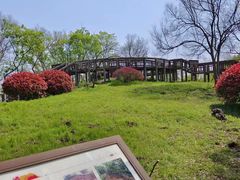 -南京市江宁方山