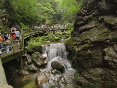 -牛背梁国家森林公园