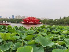 -洛阳市隋唐城遗址植物园