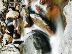 -庐山碧龙潭风景区